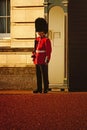 Guard of the Buckingham Palace in London Royalty Free Stock Photo