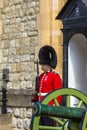 Guard at Castle Tower of London , UK. Royalty Free Stock Photo