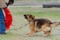 Guard dog training. Step 1. Figurant and German shepherd dog Royalty Free Stock Photo