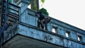 Guard dogs overlook balcony