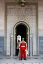 Guard in front of the Mausoleum of Mohamed V