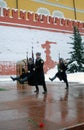 Guard of honour change Royalty Free Stock Photo