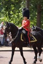 Guard royal, Trooping of the Colour, London Royalty Free Stock Photo