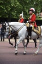 Guard royal, Trooping of the Colour, London Royalty Free Stock Photo