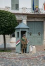 Guard soldier art Castle - Budapest - Hungary