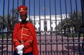 A guard stood outside of the Presidential Palace, Dakar