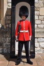 Guard at the Tower of London Royalty Free Stock Photo