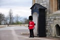 A guard wearing traditional bearskin standing to attention, UK Royalty Free Stock Photo