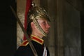 Guard at Whitehall, London