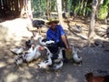 Guardalavaca, Cuba - January 10, 2014 - Traditional farmer feeding birds