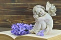 Guardian angel and hyacinth flower on old book Royalty Free Stock Photo