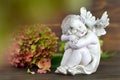 Guardian angel and flower Royalty Free Stock Photo