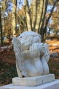 Guardian angel grave ornament Royalty Free Stock Photo