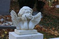 Guardian angel grave ornament Royalty Free Stock Photo