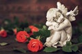 Guardian angel and roses Royalty Free Stock Photo