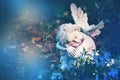 Guardian angel sleeping in flowers Royalty Free Stock Photo