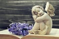 Guardian angel sleeping on old book Royalty Free Stock Photo