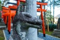 Guardian fox Kitsune stone statue in Suwa Shinto Shrine in Nagasaki, Japan.