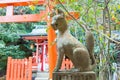 Guardian Fox Statue at Otoyo Shrine in Kyoto, Japan. The Shrine originally built in 887