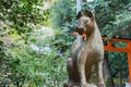 Guardian Fox Statue at Otoyo Shrine in Kyoto, Japan. The Shrine originally built in 887