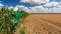 Scarecrow in the fields of Vexin FranÃÂ§ais Royalty Free Stock Photo