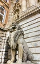 Guardian lion of Buda Castle, Budapest, Hungary Royalty Free Stock Photo