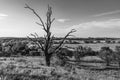 Guarding the Countryside in Black and White