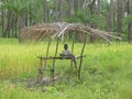 Guarding the rice fields in Orangozinho Island