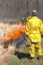 Guards of a Controlled Burning