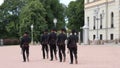 Guards at royal palace