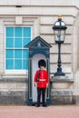 Guardsman next to Buckingham palace. London, England Royalty Free Stock Photo