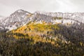 Guardsman Pass View of Fall Leaves and Snow in the Wasatch Mountains Royalty Free Stock Photo