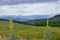 Guardsman Pass views of Panoramic Landscape of the Pass, Midway and Heber Valley along the Wasatch Front Rocky Mountains, Summer F Royalty Free Stock Photo