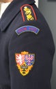 Guardsmans's insignia