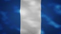 Guatemalan dense flag fabric wavers, background loop