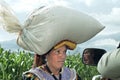 Indian woman carries chicken food on head