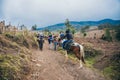 GUATEMALA - January 08: Group of hikers at the Acatenango Volcano are passed by two locals on horse back, January 08, 2017 near