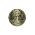 5 guatemalan centavo coin 2000 obverse Royalty Free Stock Photo