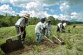 Guatemalan Indian family works in cornfield