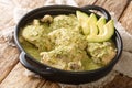 Guatemalan jocon de pollo with tomatillo sauce close up in the plate. Horizontal