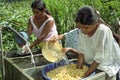 Guatemalans wash and soak corn in sink Royalty Free Stock Photo