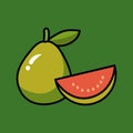 GUAVA VECTOR ILLUSTRATION