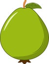 Fresh Guava with Green Leaf Vector Illustration
