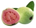 Guava Fruit