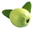 Guava Fruit