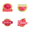 Guava fruit icons set cartoon vector. Ripe exotic fruit