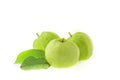 Guava fruit, on a white background, tropical fruit