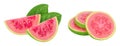 Guava fruit slices isolated on white background with full depth of field Royalty Free Stock Photo