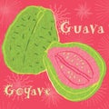 Guava fruit vector illustration. Colorful textured modern design