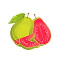 Guava fruits.Guava whole, in half, slices. Fresh green guava fruits.